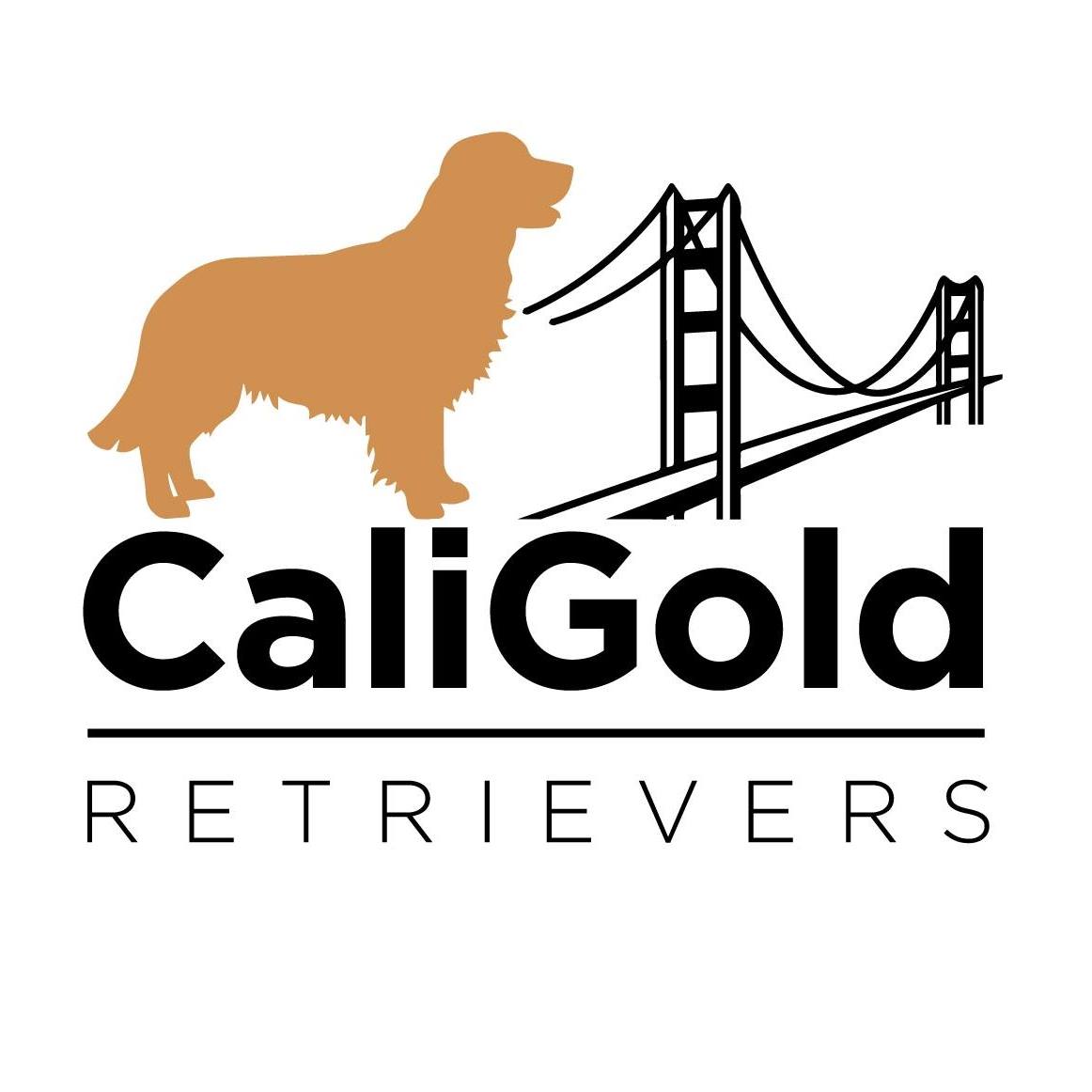 CaliGold Retrievers